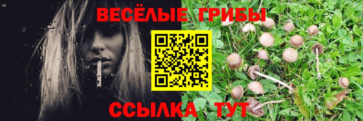 Псилоцибиновые грибы мицелий  Псилоцибиновые грибы GOLDEN TEACHER  даркнет сайт  Вход с VPN  Свободный 