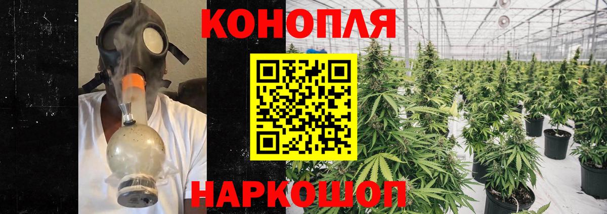 Бошки Шишки ГИДРОПОН Свободный